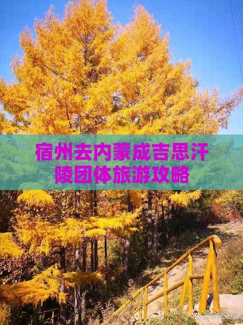 宿州去内蒙成吉思汗陵团体旅游