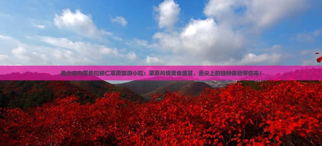 淮北去内蒙希拉穆仁草原旅游小吃
