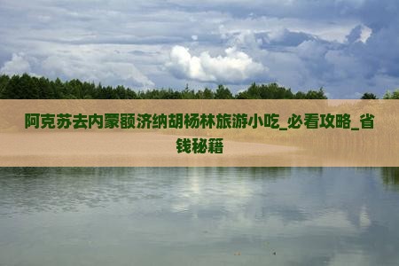 阿克苏去内蒙额济纳胡杨林旅游小吃