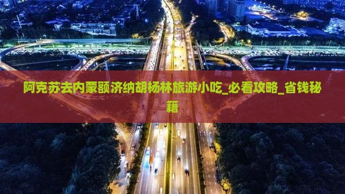 阿克苏去内蒙额济纳胡杨林旅游小吃