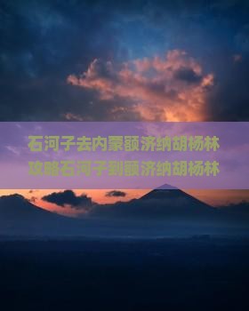 石河子去内蒙额济纳胡杨林攻略