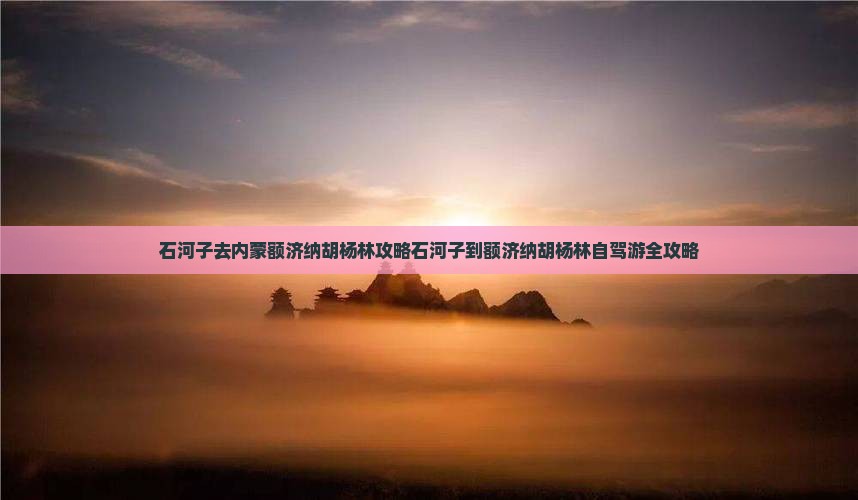 石河子去内蒙额济纳胡杨林攻略