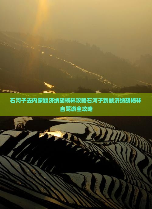 石河子去内蒙额济纳胡杨林攻略