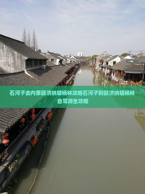石河子去内蒙额济纳胡杨林攻略