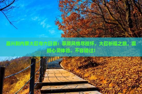 嘉兴到内蒙大召寺六日游