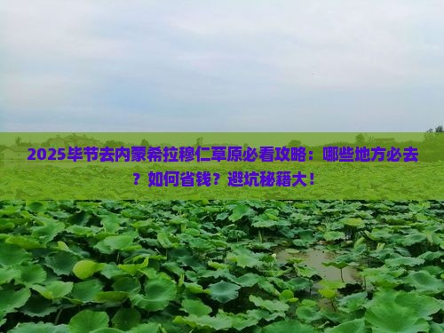 毕节去内蒙希拉穆仁草原必去地