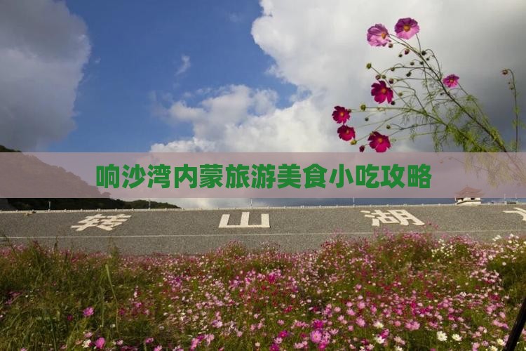 潮州到内蒙响沙湾旅游小吃