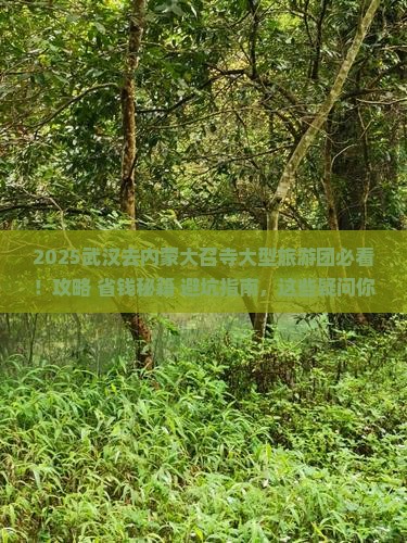 武汉去内蒙大召寺大型旅游团