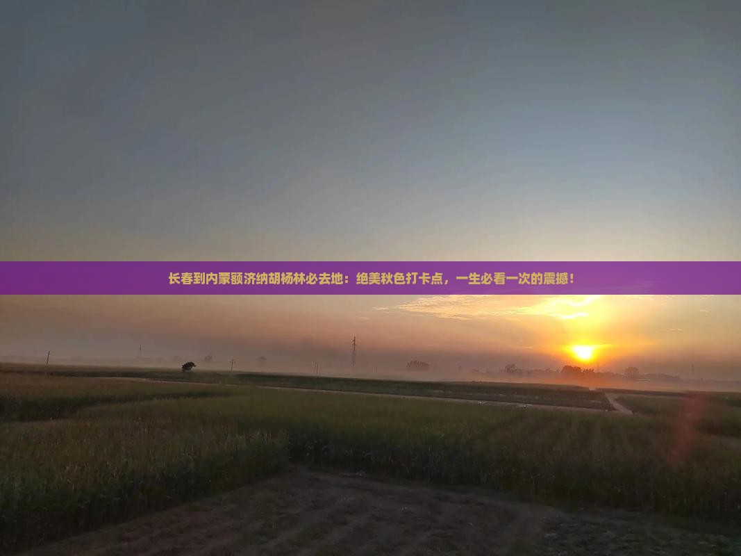长春到内蒙额济纳胡杨林必去地