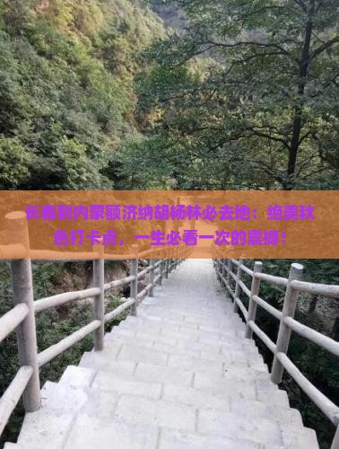 长春到内蒙额济纳胡杨林必去地