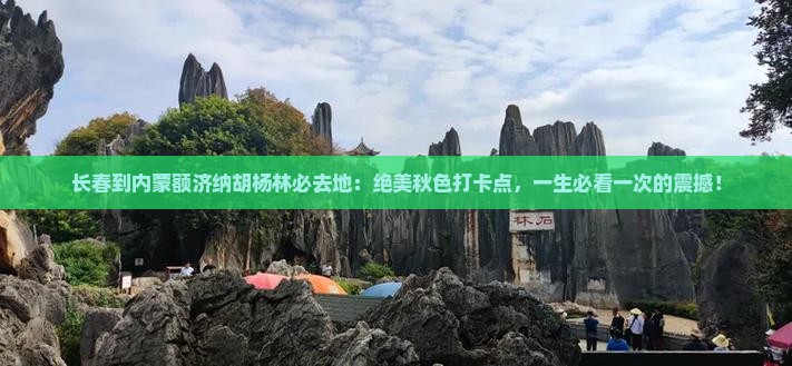 长春到内蒙额济纳胡杨林必去地