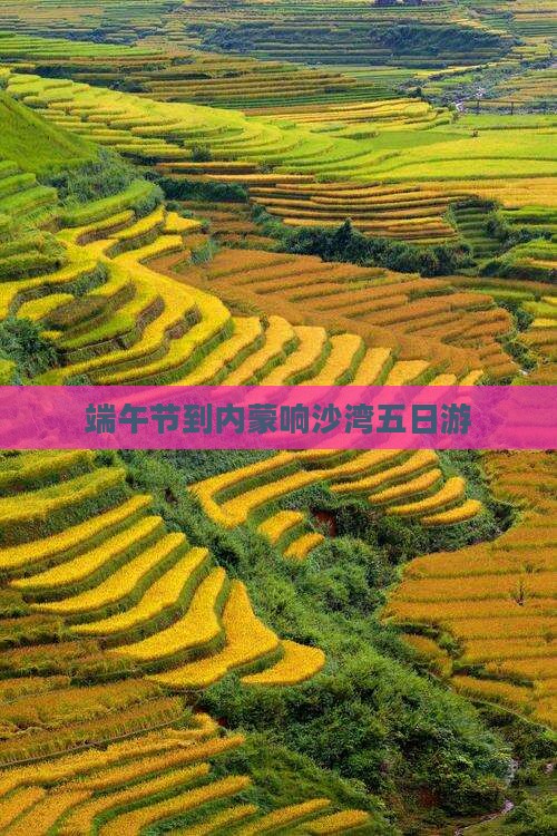 端午节到内蒙响沙湾五日游