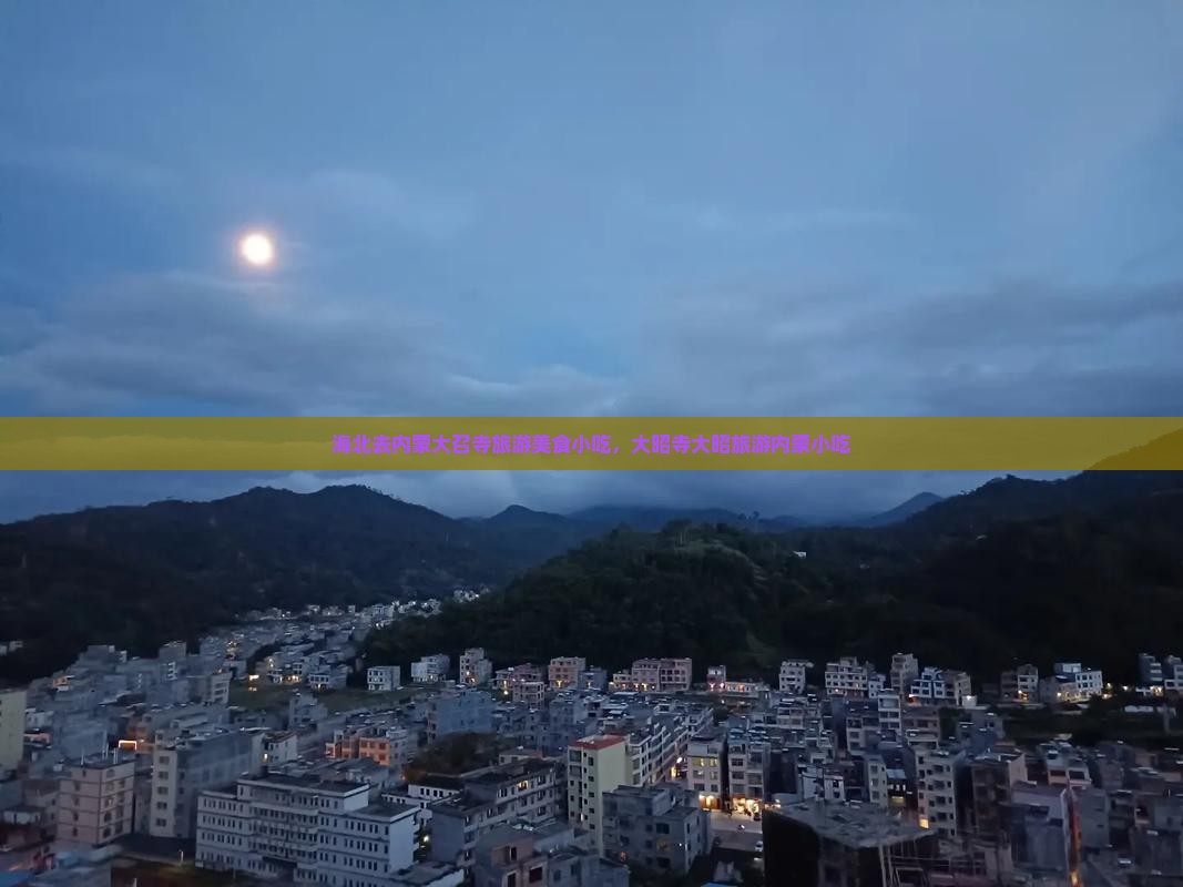 海北去内蒙大召寺旅游小吃