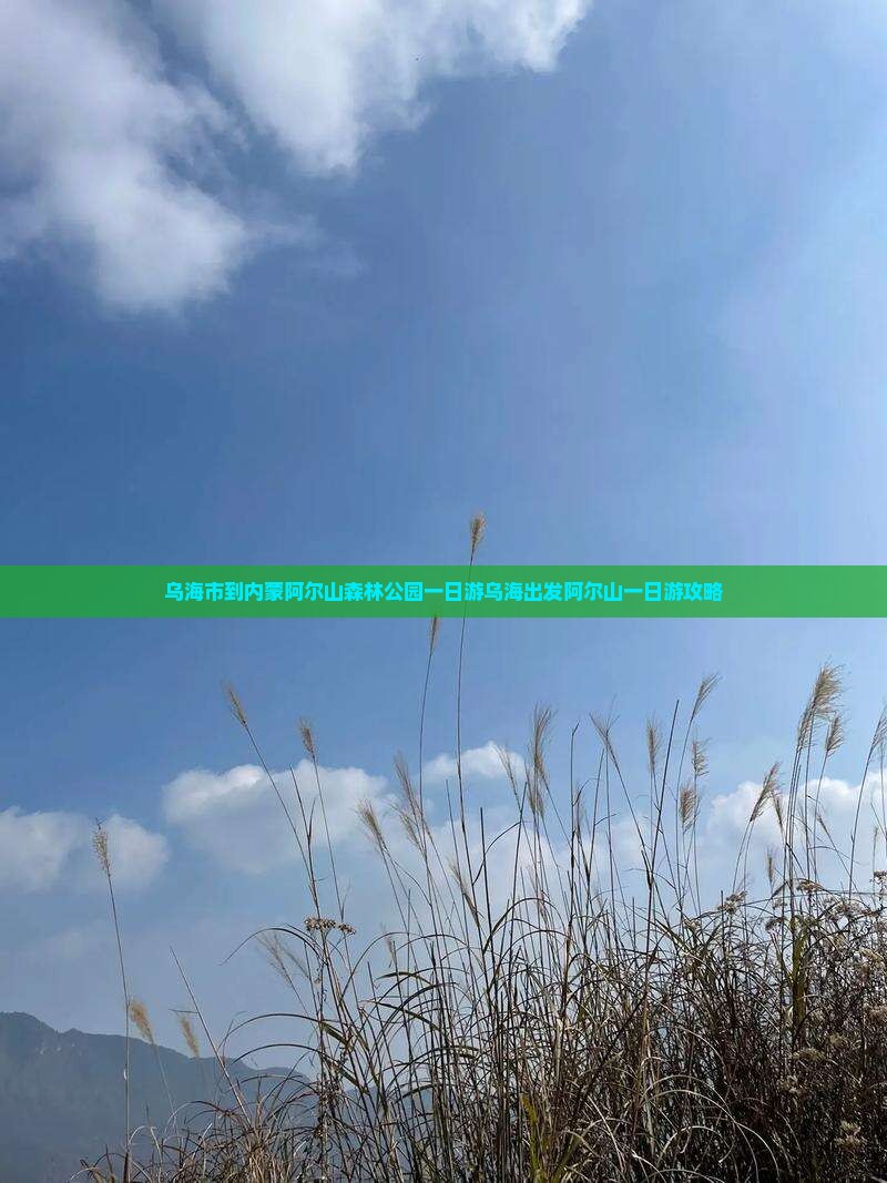 乌海市到内蒙阿尔山国家森林公园一日游