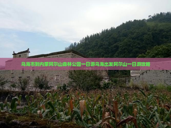 乌海市到内蒙阿尔山国家森林公园一日游