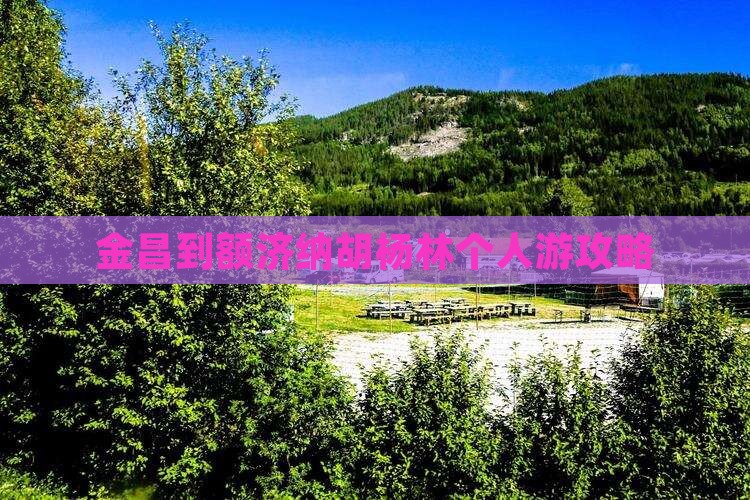 金昌到内蒙额济纳胡杨林个人游