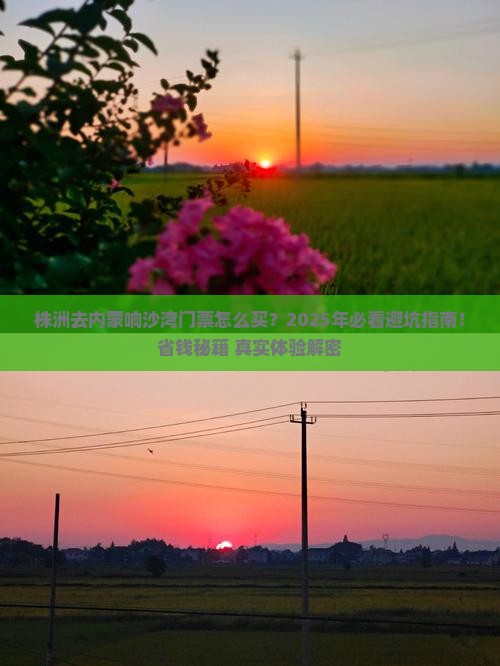 株洲去内蒙响沙湾门票