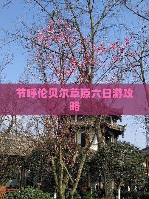 国庆节到内蒙呼伦贝尔大草原六日游