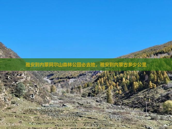 雅安到内蒙阿尔山国家森林公园必去地