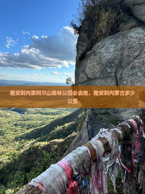 雅安到内蒙阿尔山国家森林公园必去地
