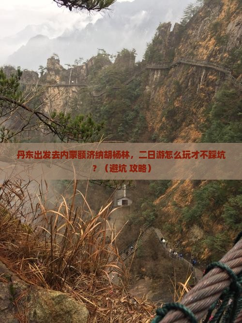丹东到内蒙额济纳胡杨林二日游