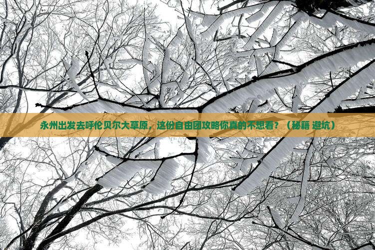 永州去内蒙呼伦贝尔大草原自由团