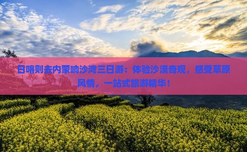日喀则去内蒙响沙湾三日游