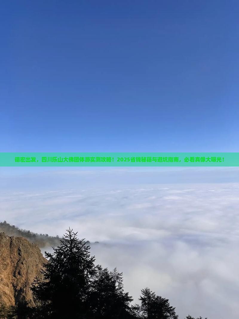 德宏到四川乐山大佛团体旅游