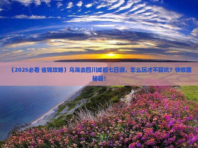乌海去四川成都七日游