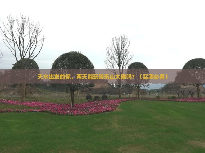天水到四川乐山大佛二日游