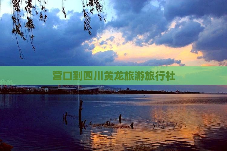营口到四川黄龙旅行社