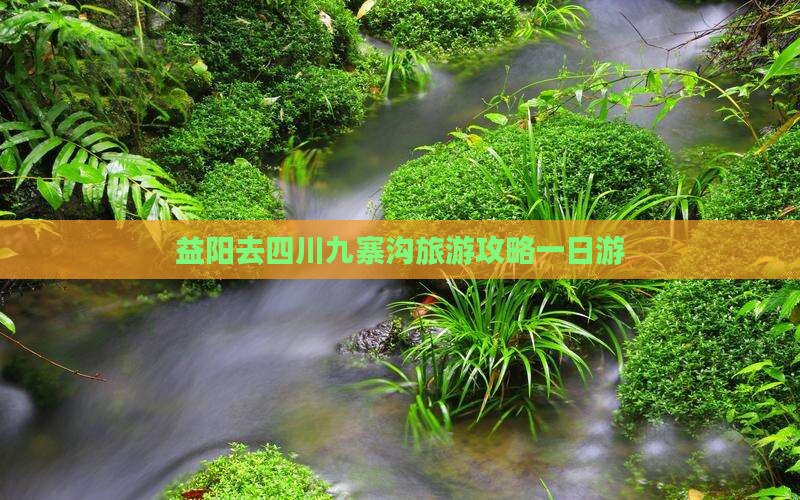 益阳去四川九寨沟一日