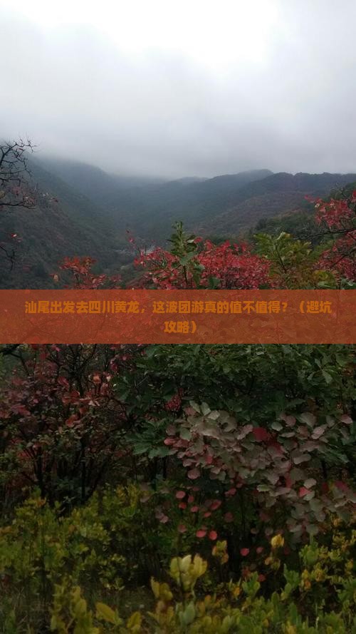 汕尾去四川黄龙团体旅游