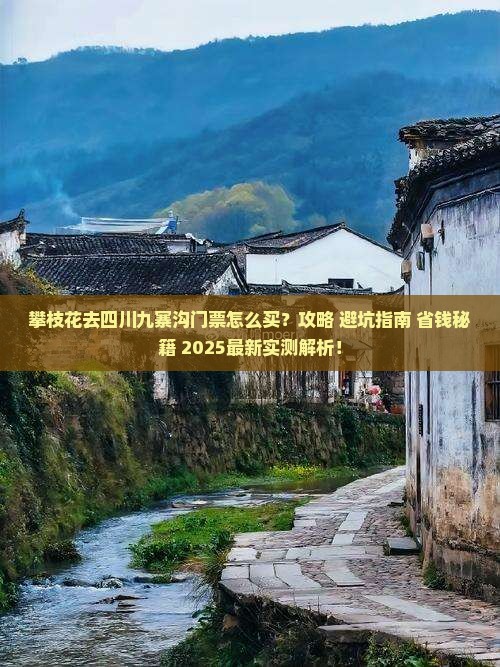 攀枝花去四川九寨沟门票