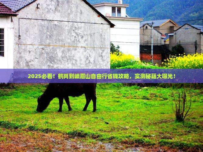 鹤岗到四川峨眉山自由行