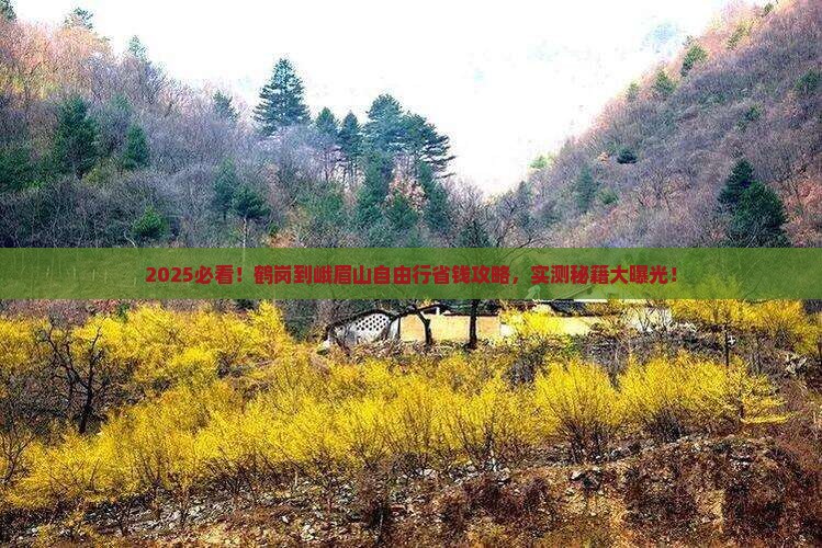 鹤岗到四川峨眉山自由行