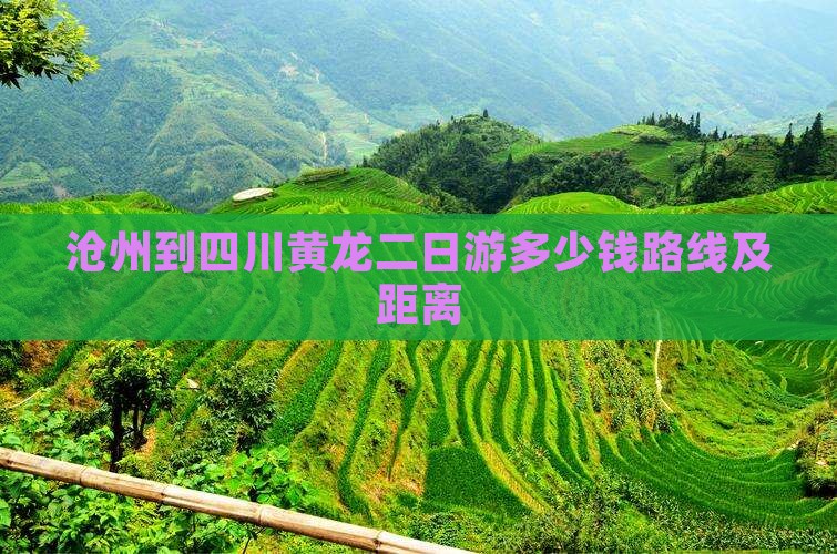 沧州到四川黄龙二日游