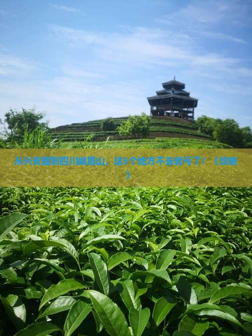 兴安盟到四川峨眉山必去地