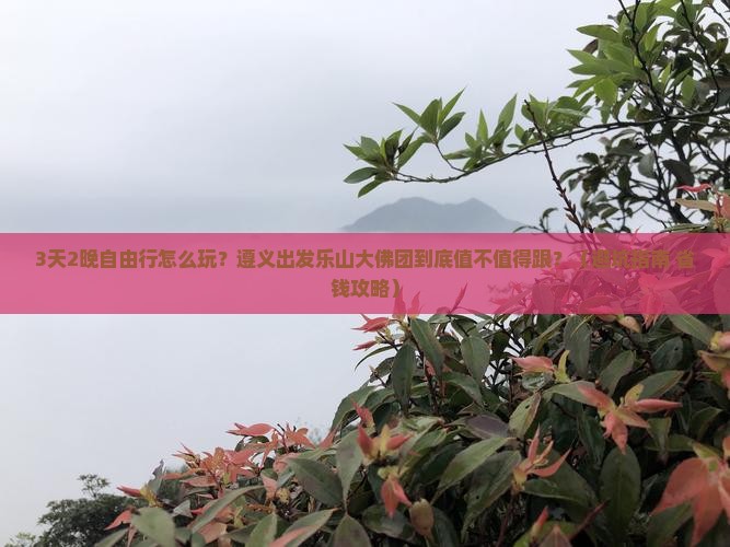 遵义到四川乐山大佛自由团