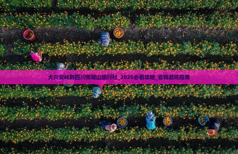 大兴安岭到四川青城山旅行社