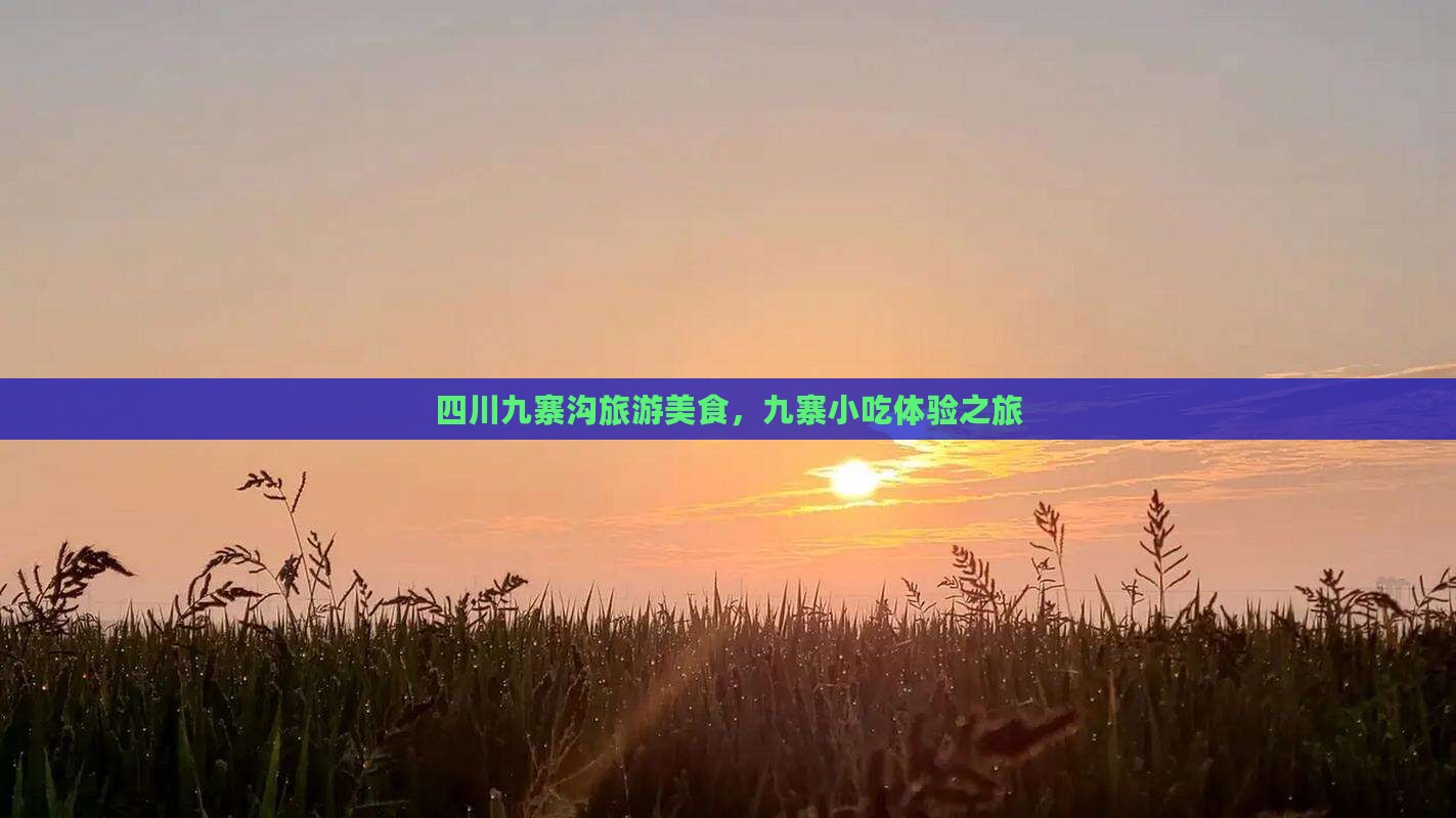 成都去四川九寨沟旅游小吃