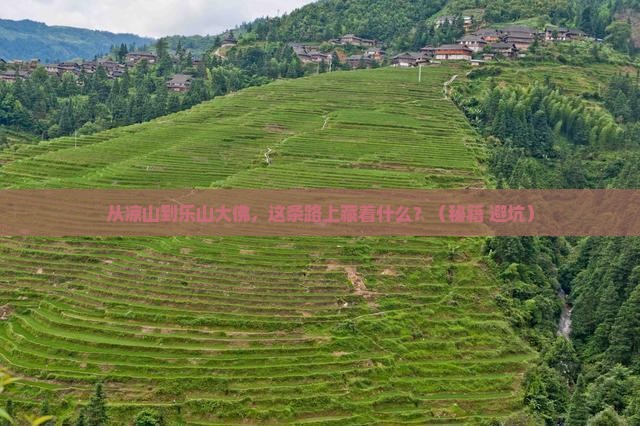 凉山到四川乐山大佛自由行