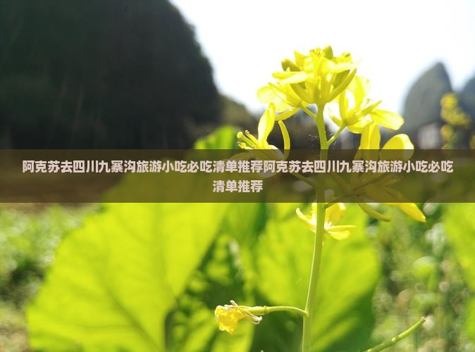 阿克苏去四川九寨沟旅游小吃