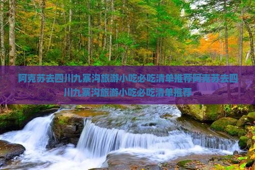 阿克苏去四川九寨沟旅游小吃