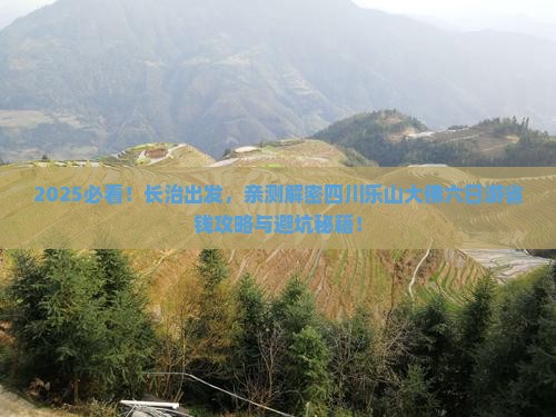 长治到四川乐山大佛六日游