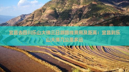 宜昌去四川乐山大佛三日游