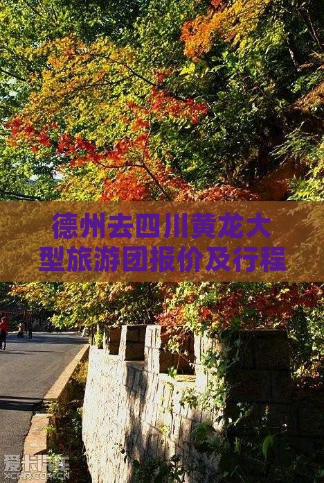 德州去四川黄龙大型旅游团 德州去四川黄龙大型旅游团