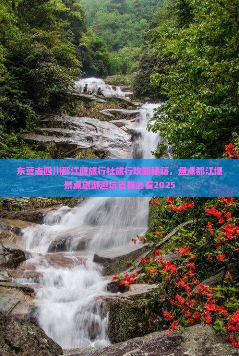 东营去四川都江堰旅行社