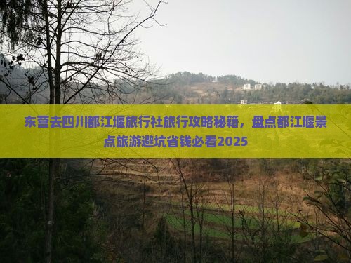东营去四川都江堰旅行社