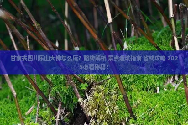甘南去四川乐山大佛哪里玩